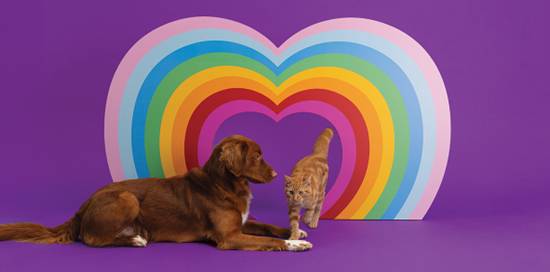 lilyskitchen3.png