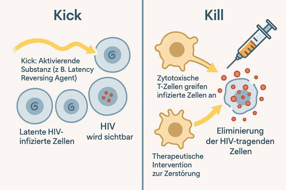 kick-and-kill-mrna-visualisierung.jpg