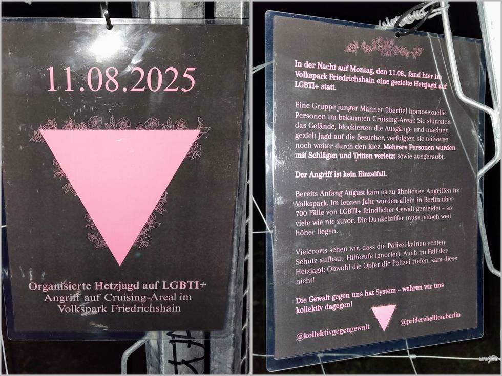 volkspark-friedrichshain-pinkrebellion-poster-foto-christian-knuth.jpg