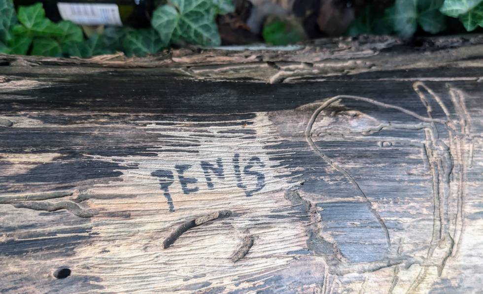 volkspark-friedrichshain-crusing-art-foto-christian-knuth.jpg