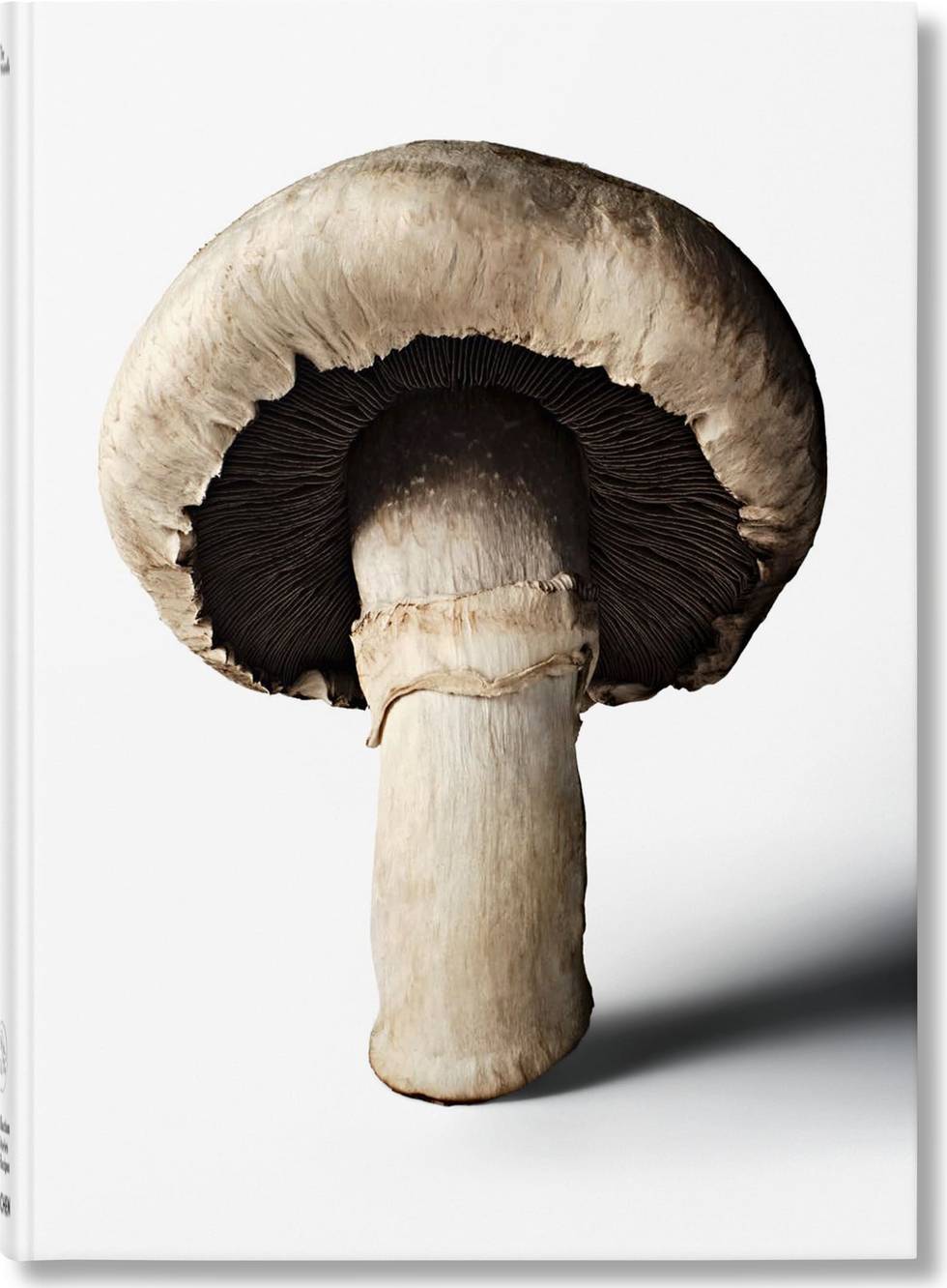 buch_Pilze_cover.jpg