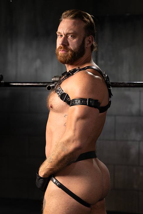 Brogan_models_02.jpg