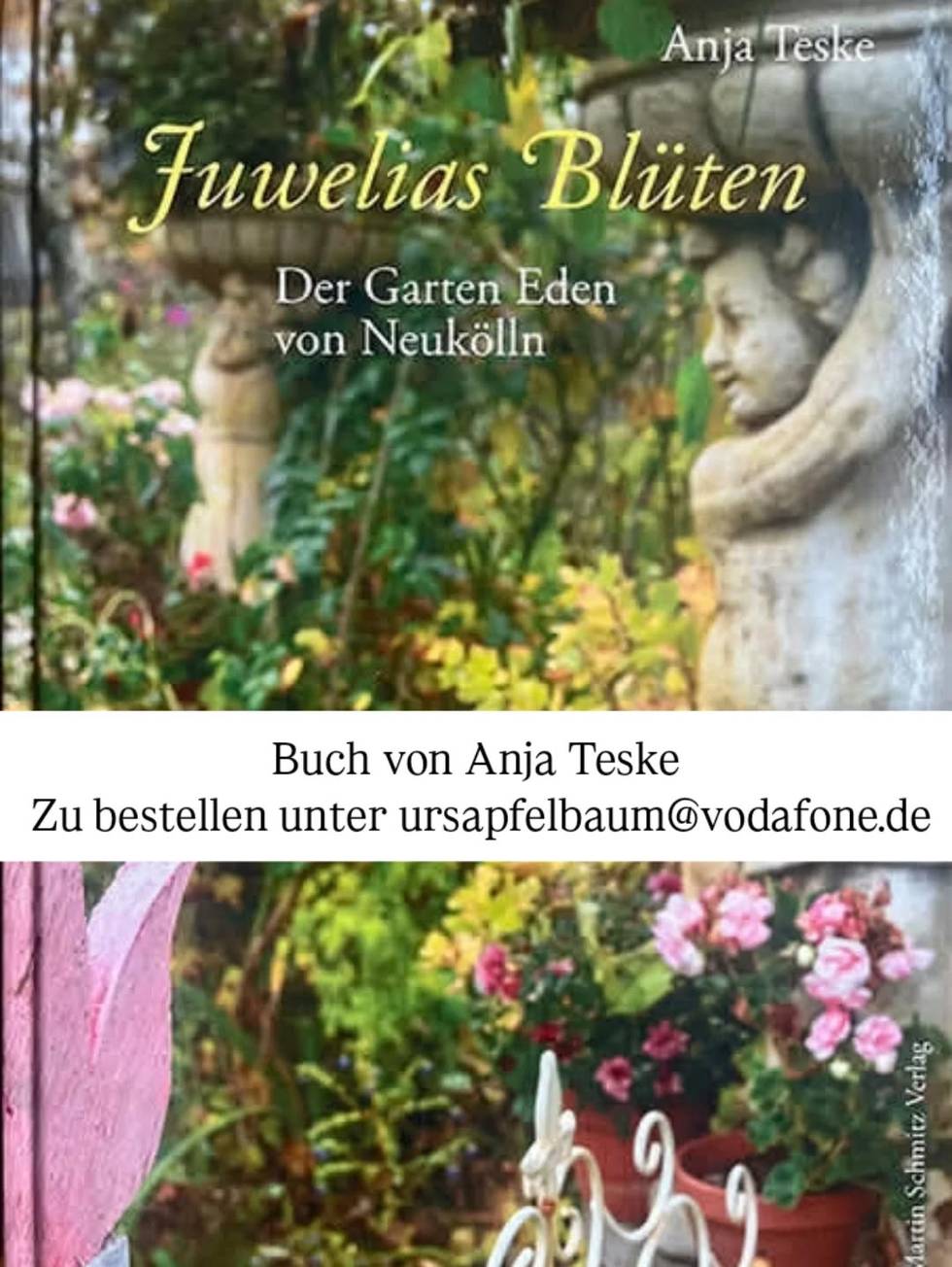 Buch_Juwelia.jpg