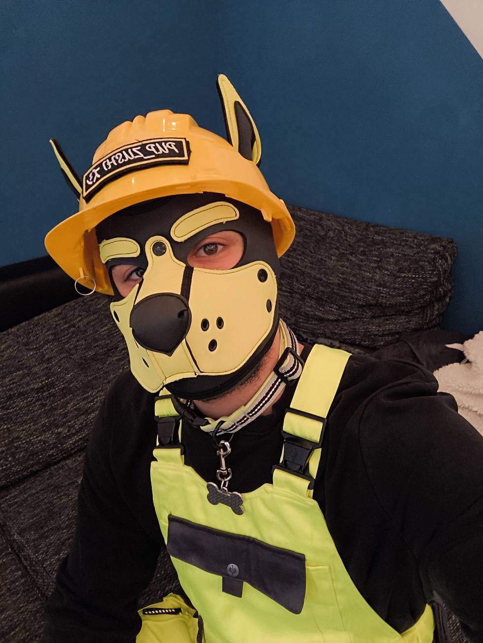 csd_puppy_pupzushi2.jpg