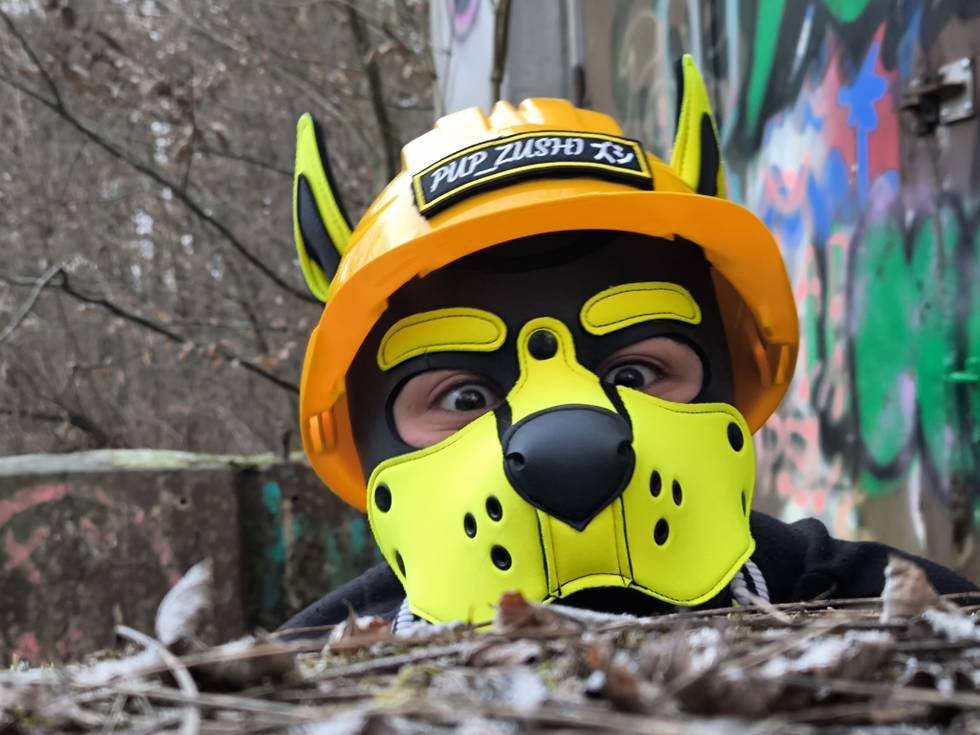 csd_puppy_pupzushi3.jpg