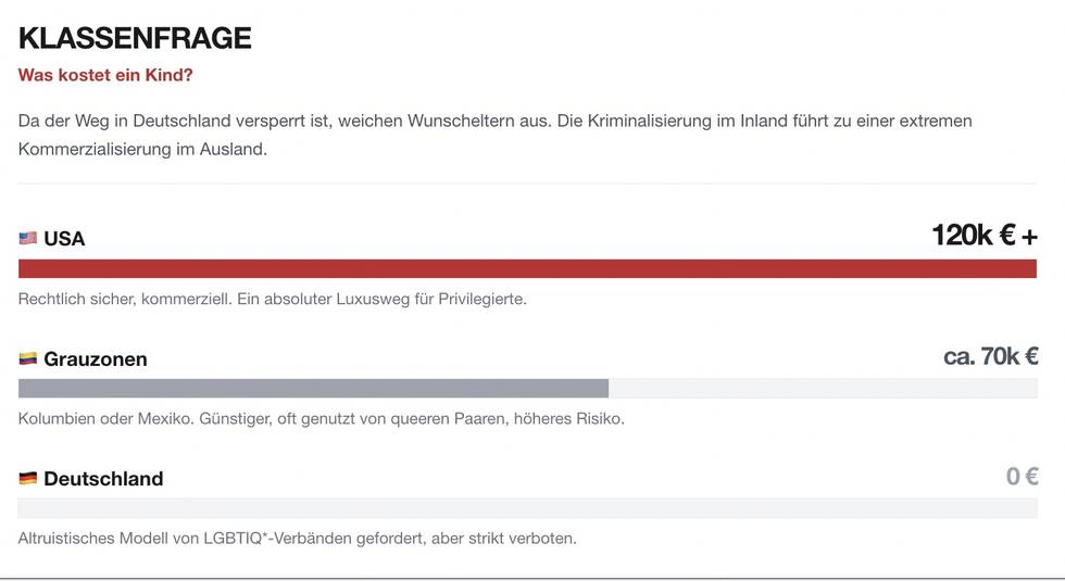leihmutterschaft-als-klassenfrage-schaubild.jpg