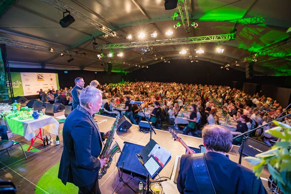 GrueneSosse-Festival.jpg
