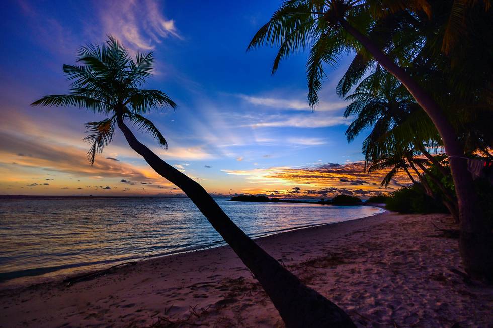 Paradise.jpg