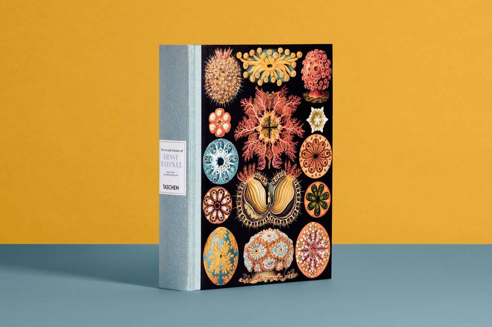 Ernst Haeckel