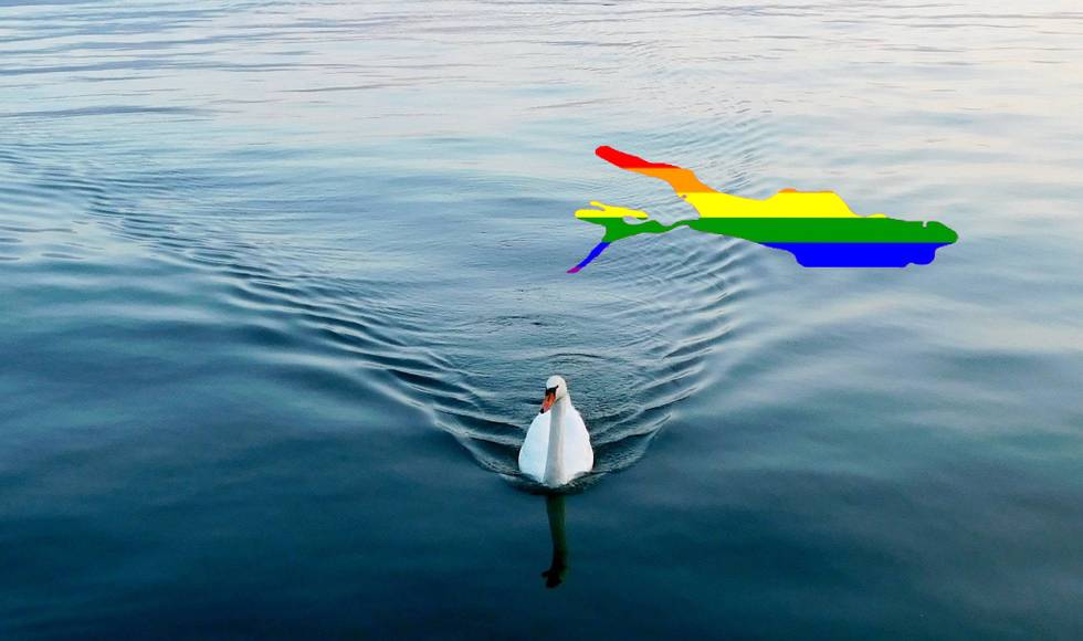 Friedrichshafen.jpg