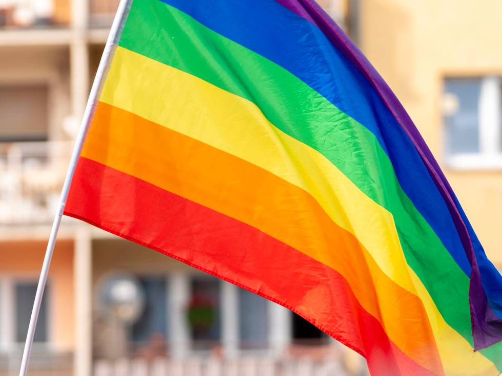 HeidelPride.jpg
