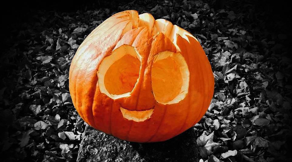 Kürbis Halloween Ravensburg 2025 Oktober.jpg