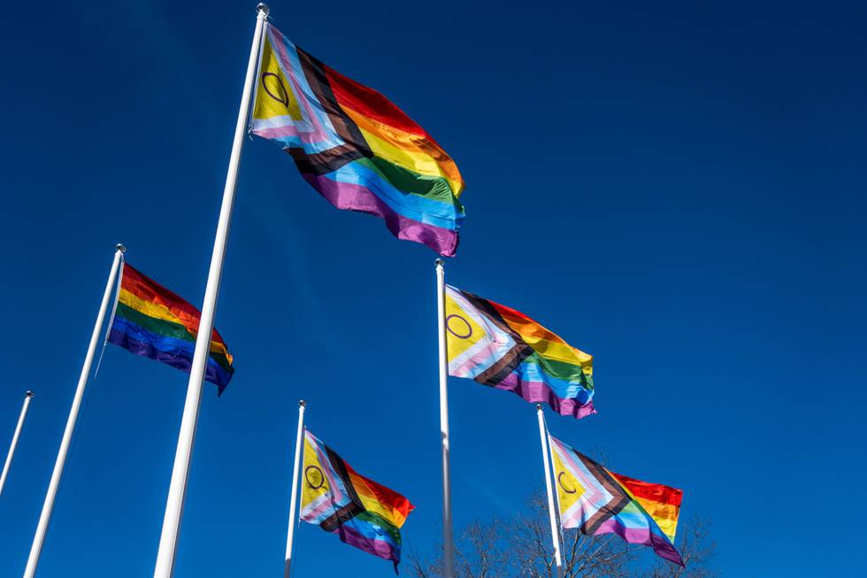 Pride flags