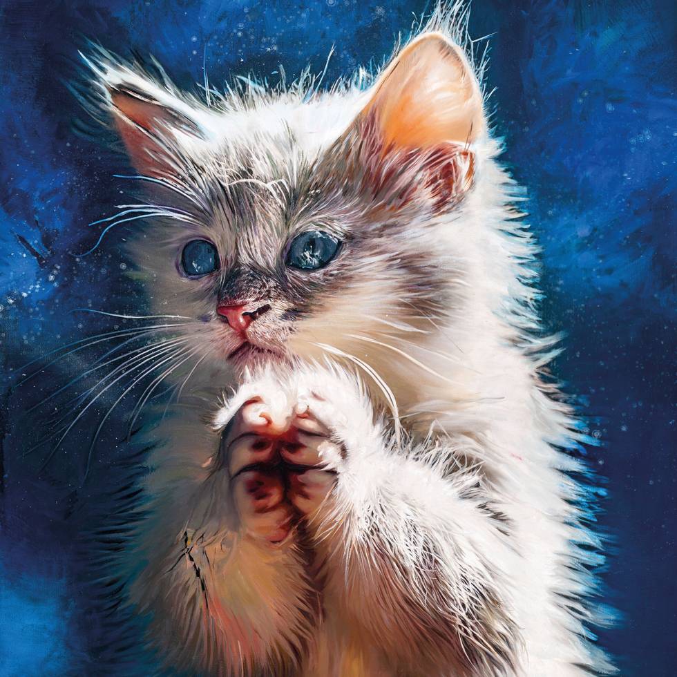 musik_Pussy Disco The Sunrise Sessions Cover.jpg