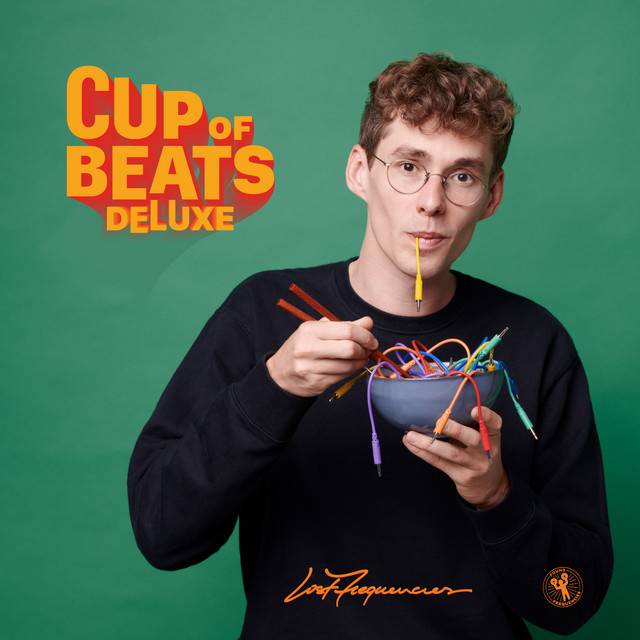 Lost Frequencies.jpg