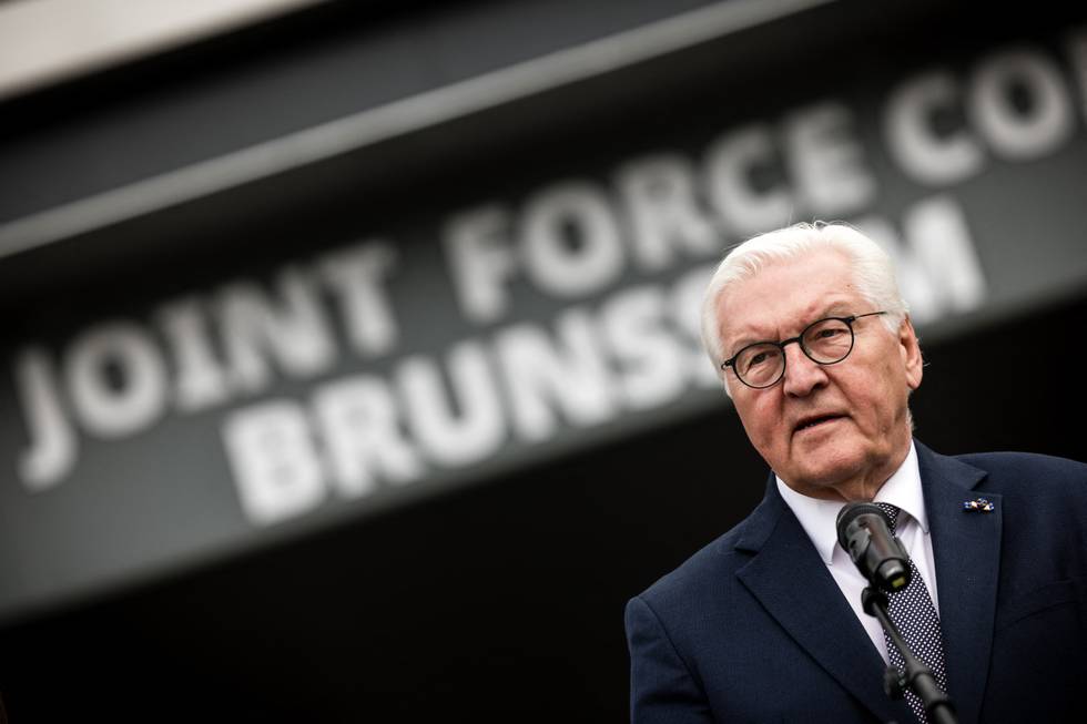 frank-walter-steinmeier-foto-ROB_ENGELAAR_AFP.jpg