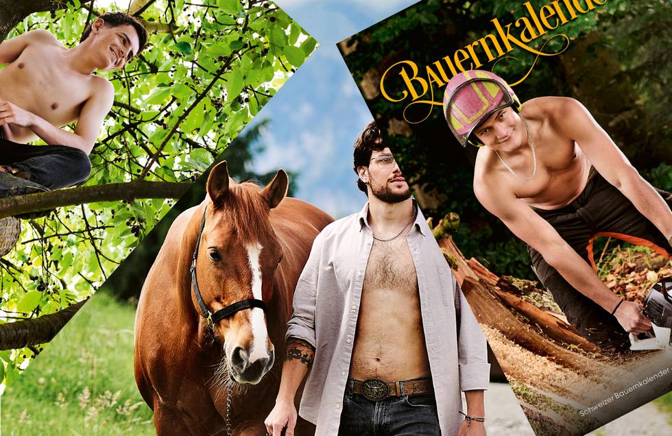 Schweizer Bauernkalender3.jpg