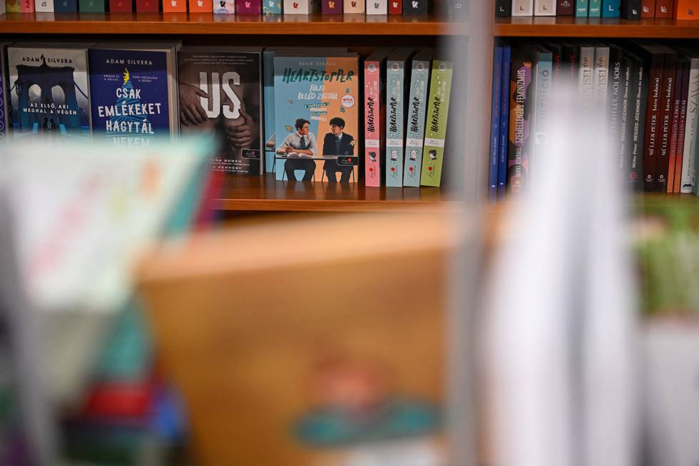 lgbtiq-literatur-wieder-erlaubt-ungarn-foto-afp.jpg