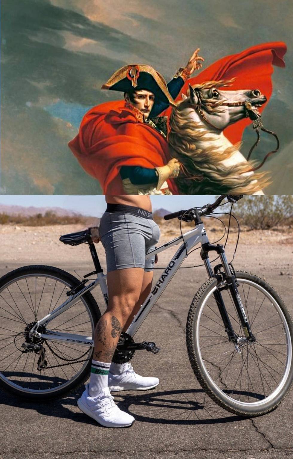 Bi_Pinosa_Napoleon.jpg