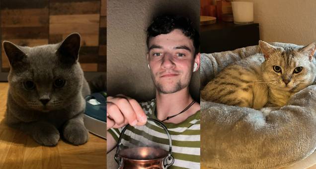 Katzen Mitch Bo.jpg