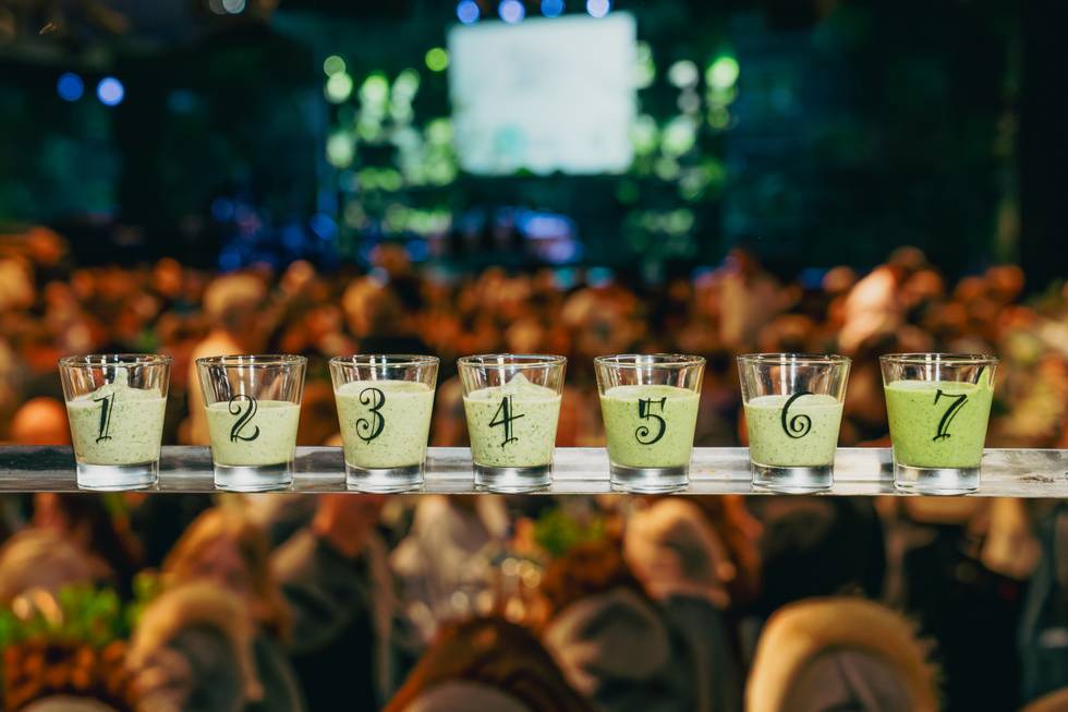 GrueneSosseFestival-1.jpg