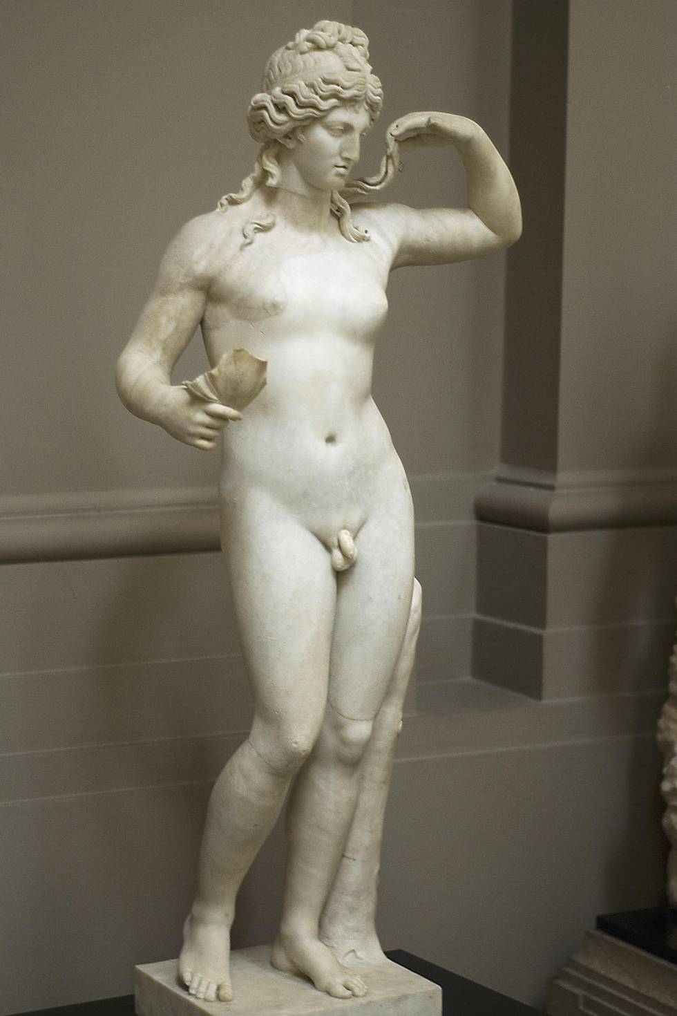 Hermaphroditos