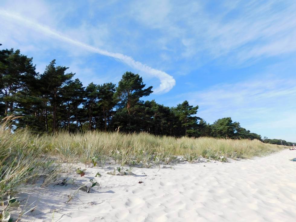Ostsee, Rügen, Natur