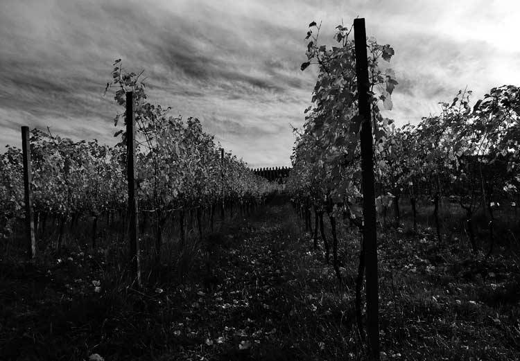 Weinberg