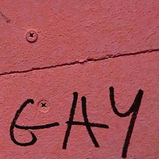 schwul gay schwul gay