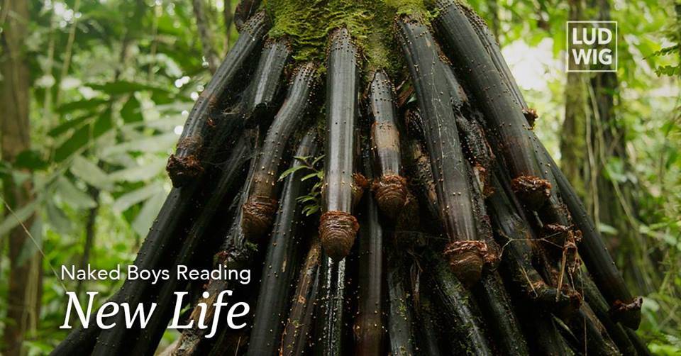 Naked Boys Reading: New Life, bilingual reading hosted by Cheryl Offoffoff-Broadway