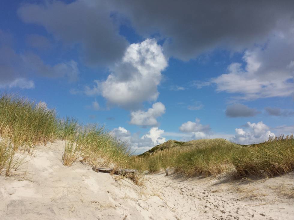 TIPP • Männerpension auf Sylt - männer*