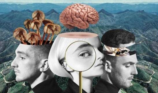 CLEAN BANDIT