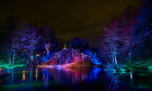 Winterlichter Im Palmengarten Manner