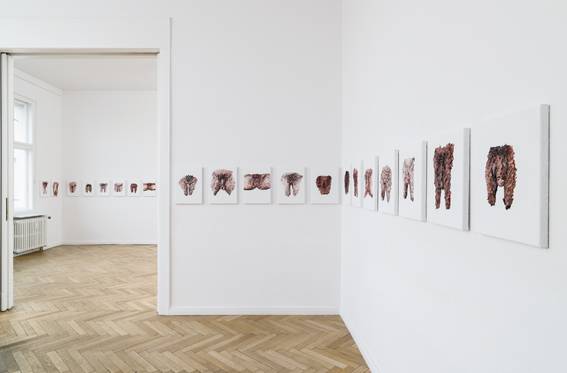 Clemens Krauss: „100 Cuts“