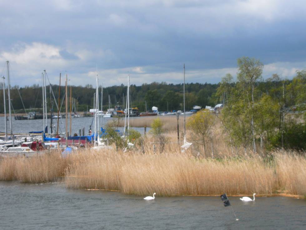 Herreninsel Lübeck