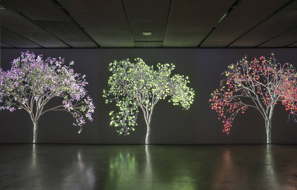 Natur als Illusion