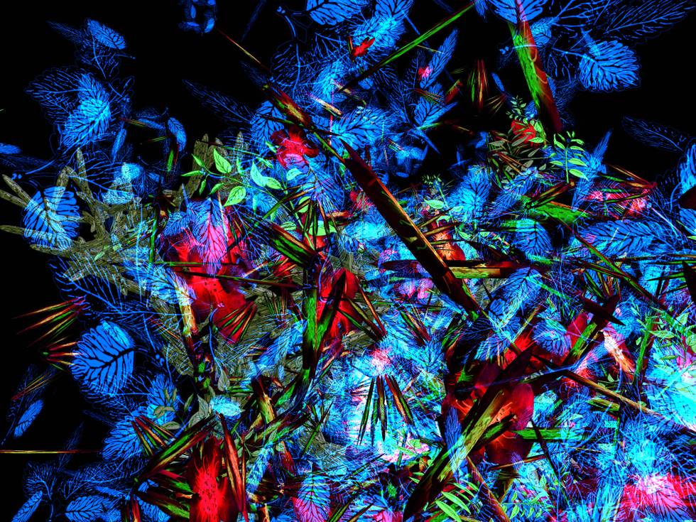Natur als Illusion