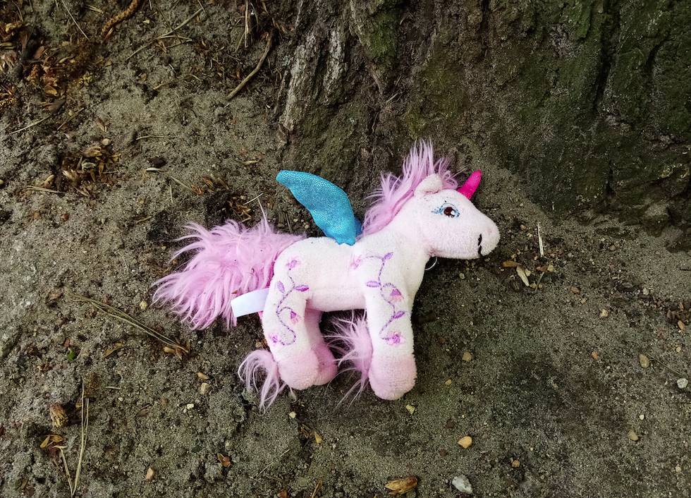 Einhorn