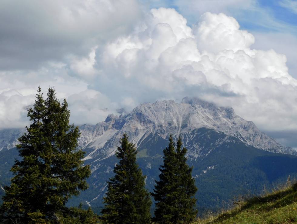 Wald, Berge, Alpen