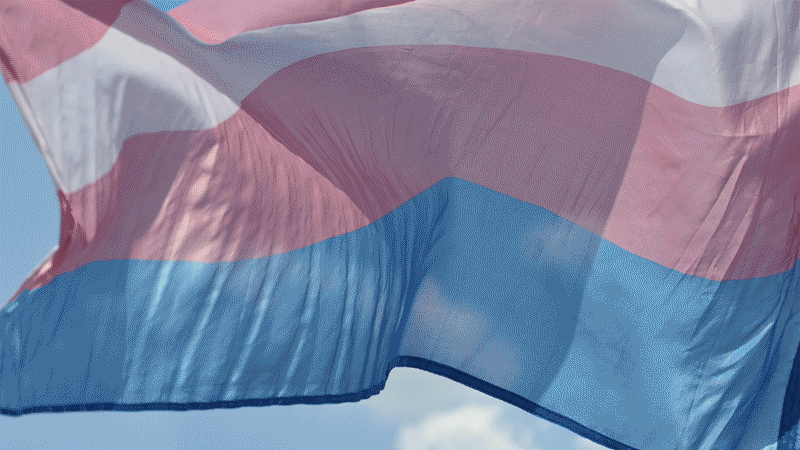 Transgender