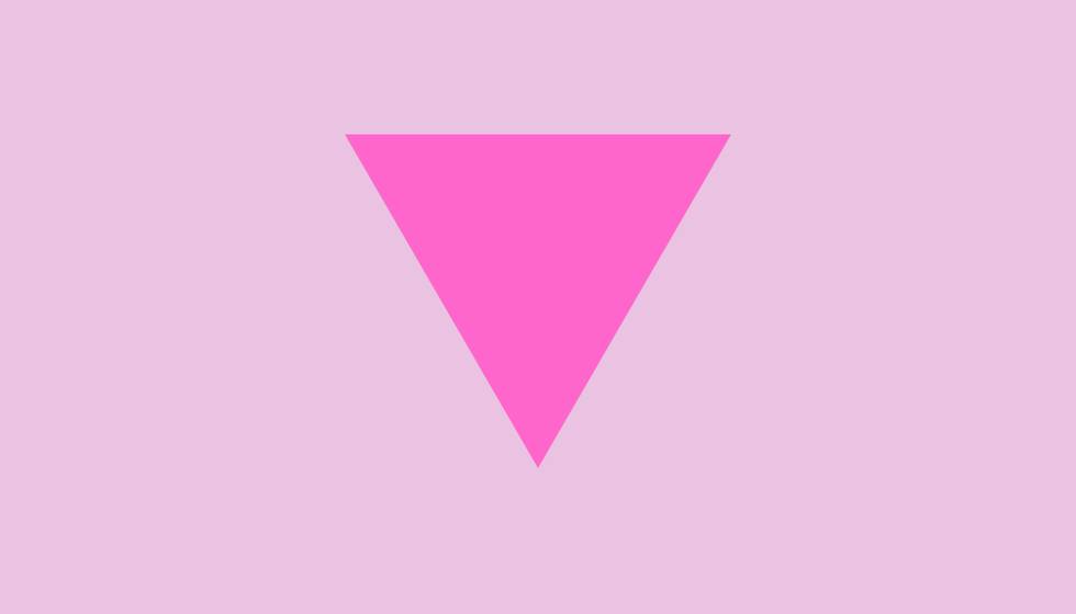 Rosa WInkel Rassismus Gay Schwul Community.jpg