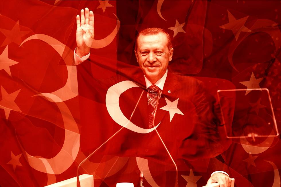 erdogan-gerd-altmann-cco.jpg