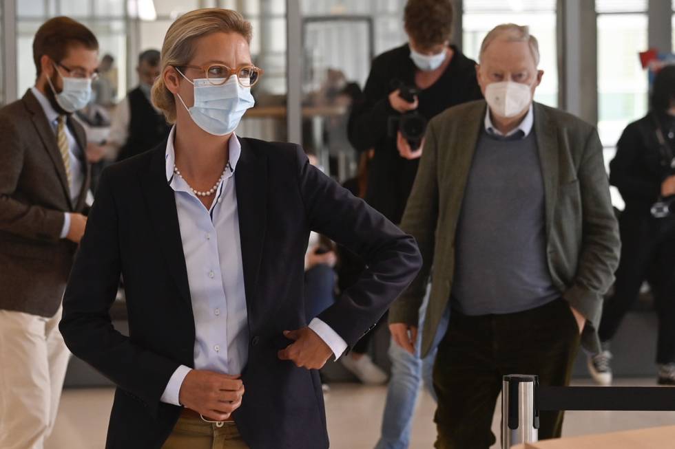 alice-weidel-gauland-afp.jpg