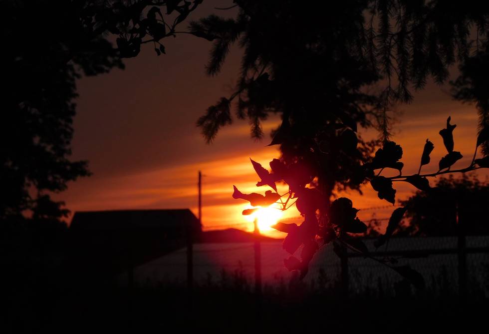 Brandenburg im Sommer