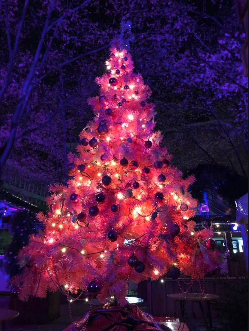 RosaWeihnacht-FFM.jpg