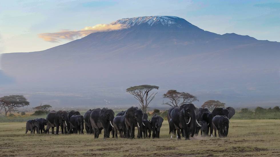 Kenia