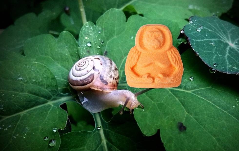 Natur, LUSH