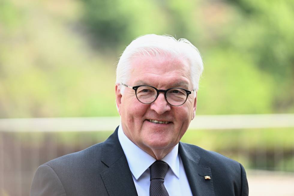 steinmeier-afp-ina-fassbinder.jpg
