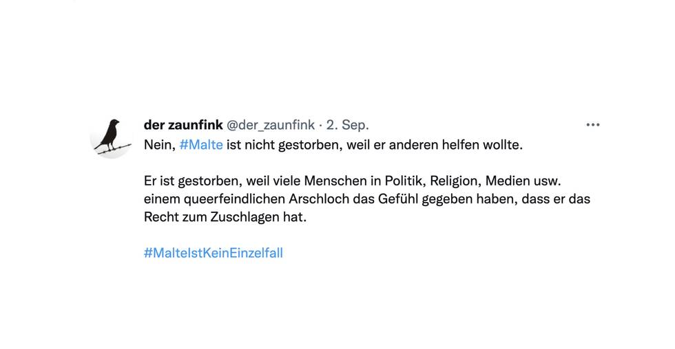 zaunfink-malte.jpg