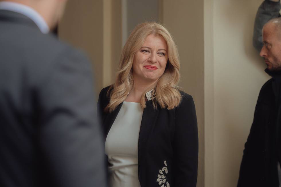 Caputova-Steinmeier meeting in Slovakia